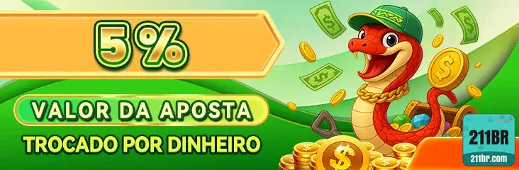 211br.com explore profissional jogo